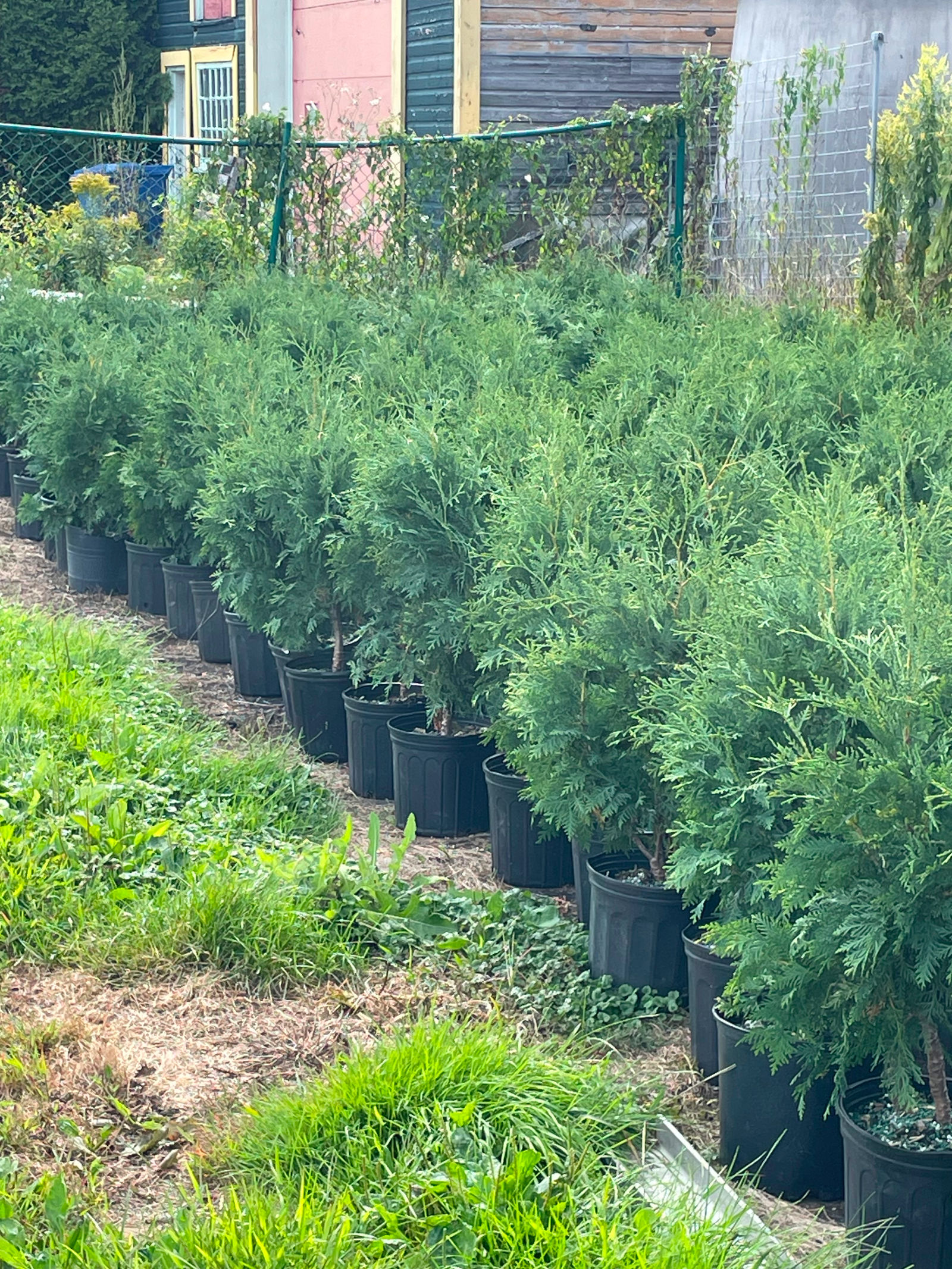 Pots diagonale